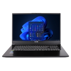TERRA MOBILE GAMER ELITE 5v4 U9-275HX W11P (1220870)